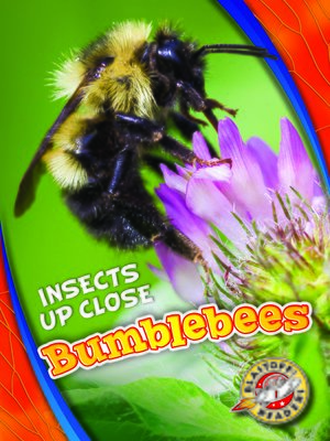 cover image of Bumblebees